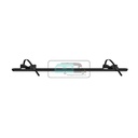 Thule Fatbike Rail VAN XT / WanderWay