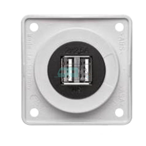 [OCS_1144136B] Berker Contactdoos 2x USB Lader 12V Inbouw Wit Hoogglans